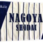 名古屋商科大学硬式野球部